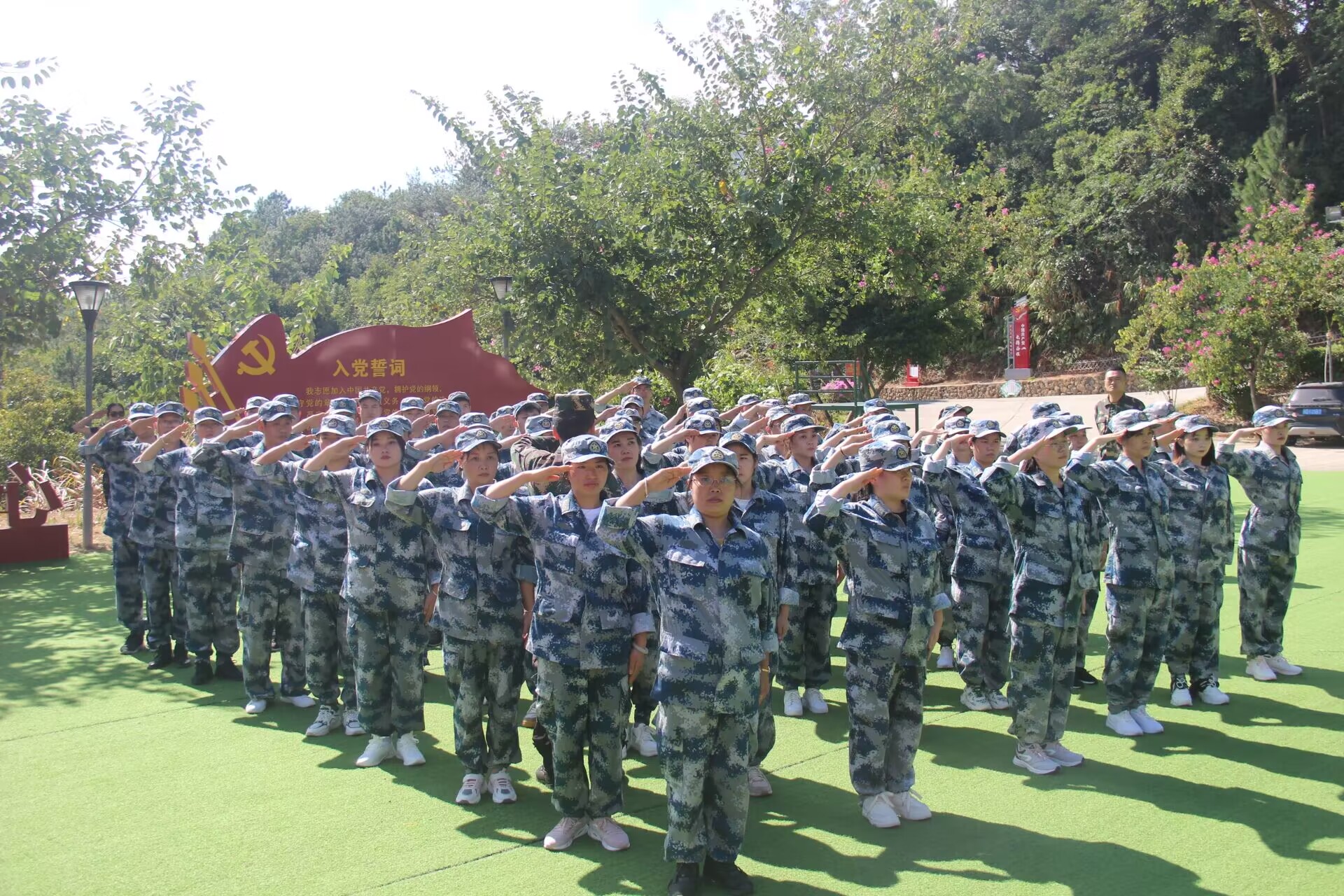 1667526351195356.jpg 1.jpg