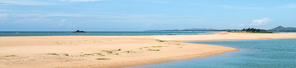 2020 Chinese New Year Party in Xiamen