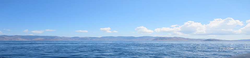 Cancellation of attendance to METS 2020 tradeshow